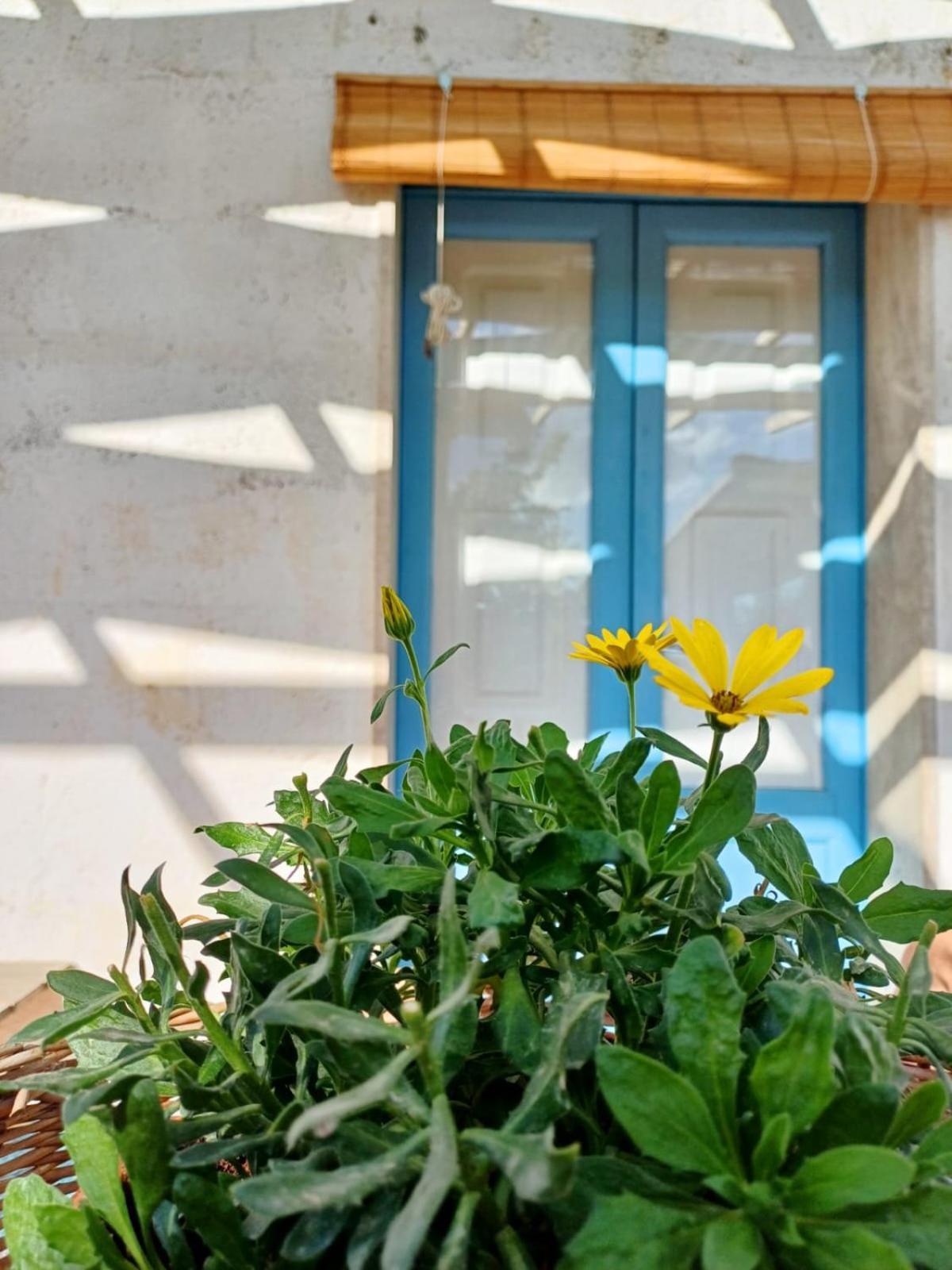 마두리아 Casina La Tajata 빌라 외부 사진